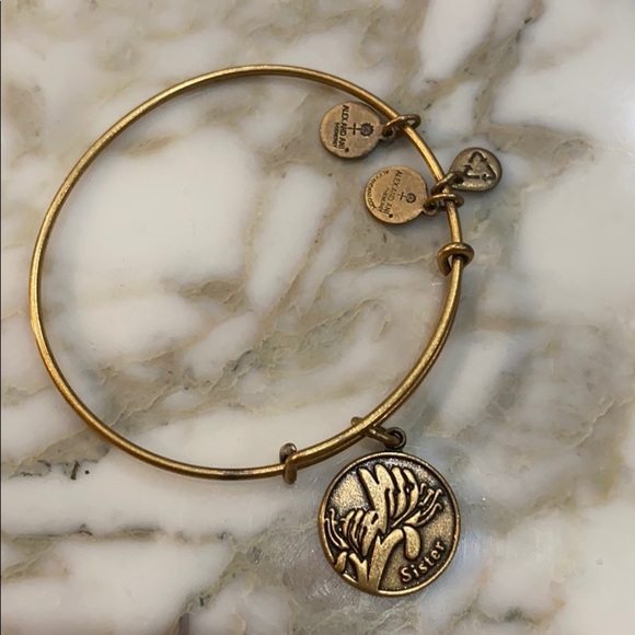 Alex and Ani Jewelry - Alex and ani sisters charm bracelet